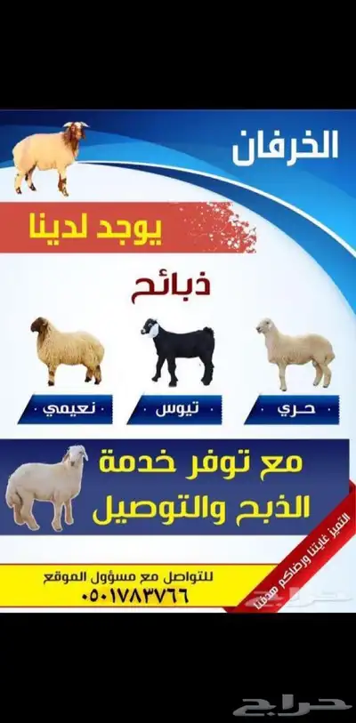 ذبايح للبيع 0