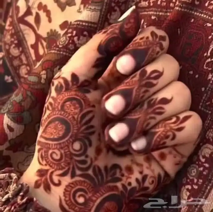 نقاشه أم الماس 11