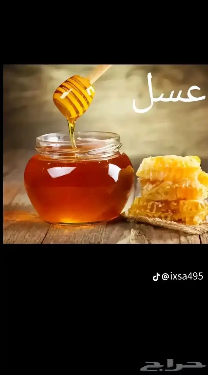 عسل سدر من جبال حضرموت متوفر في يريده القصيم 0