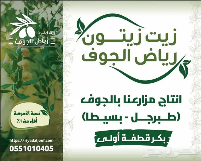 زيت زيتون رياض الجوف 3