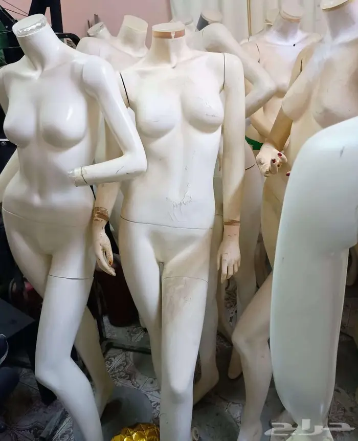 للبيع مليكان عرض نسائي بحالة ممتازة 0