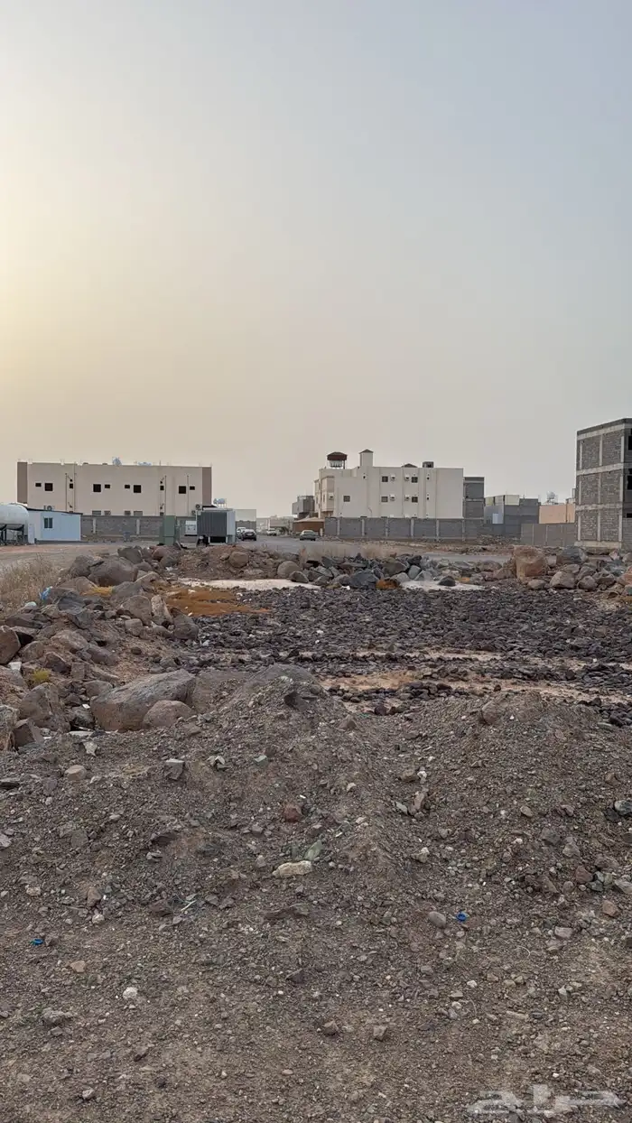 قطعين مفروزة بالعاقول طول 15 4