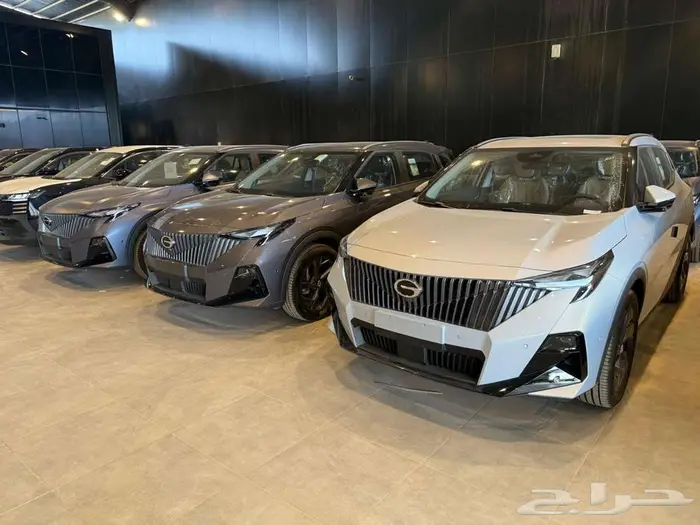 جي اي سي ام زوم 2025 1