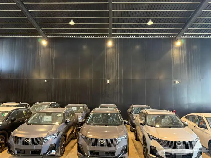 جي اي سي ام زوم 2025 7