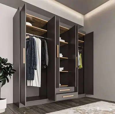 موديل دواليب مودرن 10