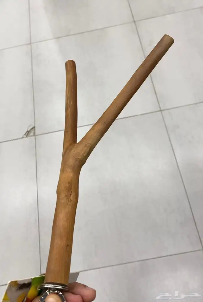 مجثم طيور 0