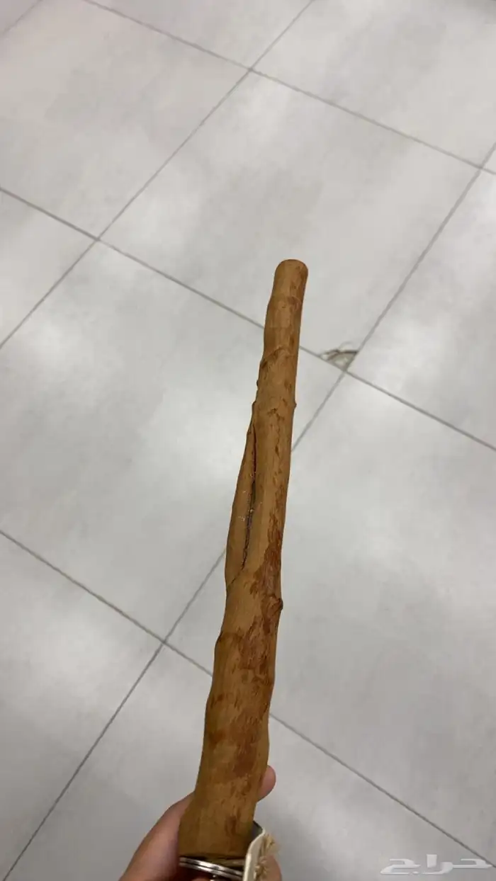 مجثم طيور 1