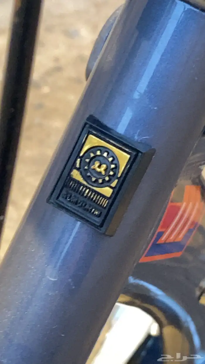 رامبو للبيع 9