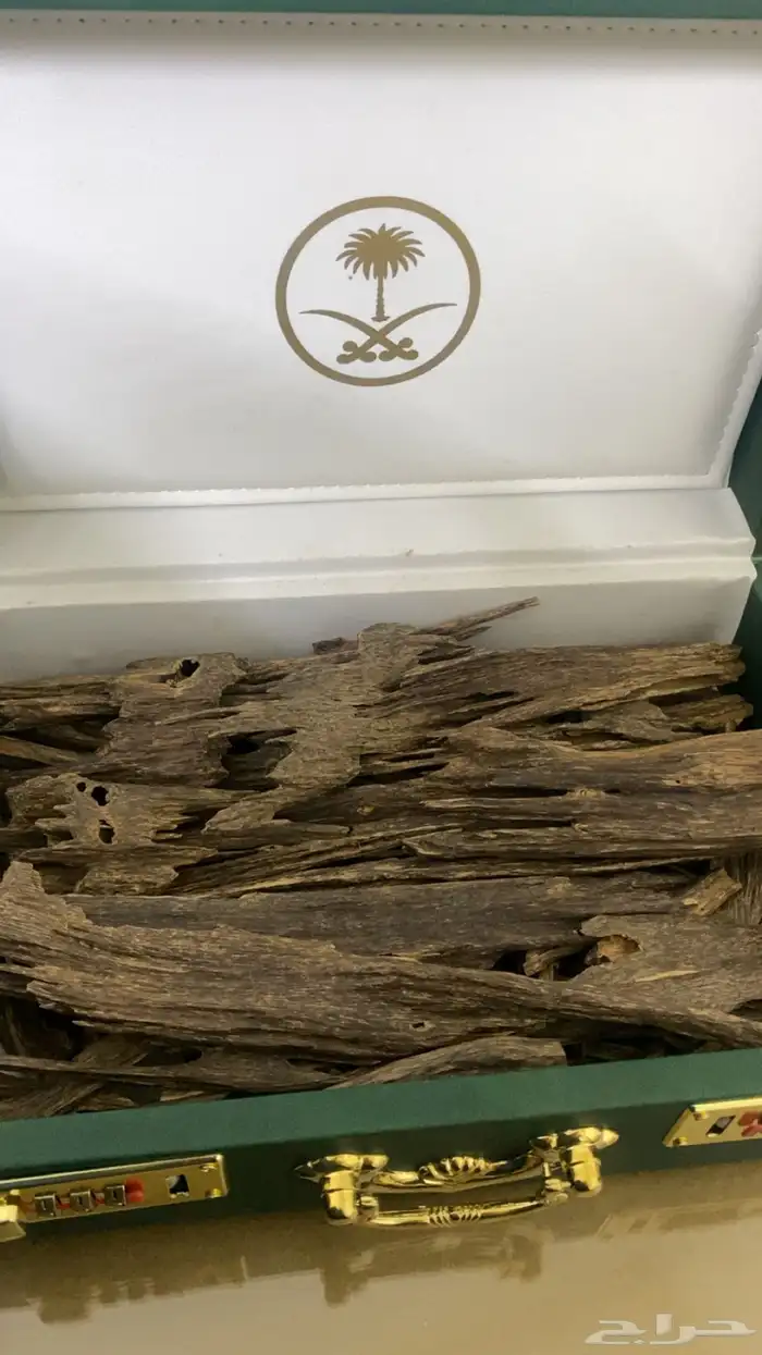 عود هندي ناجالاند. فاخر ونظيف ملكي. بسعر عرض. 0