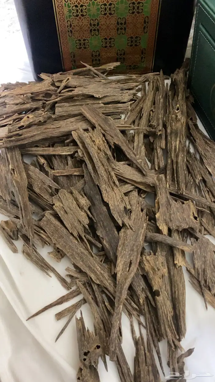 عود هندي ناجالاند. فاخر ونظيف ملكي. بسعر عرض. 1