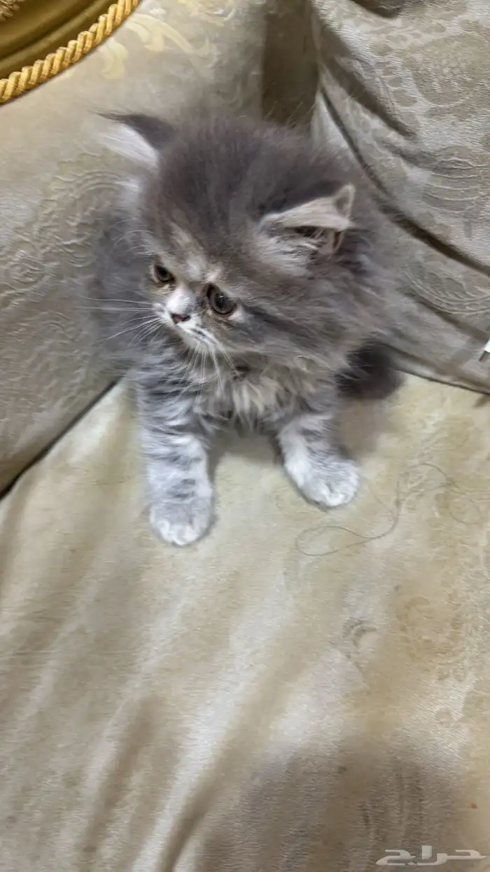 بيع 0