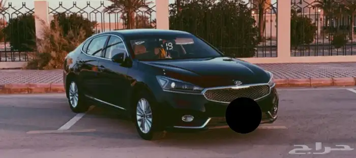 كادينزا 2019 للبيع 0