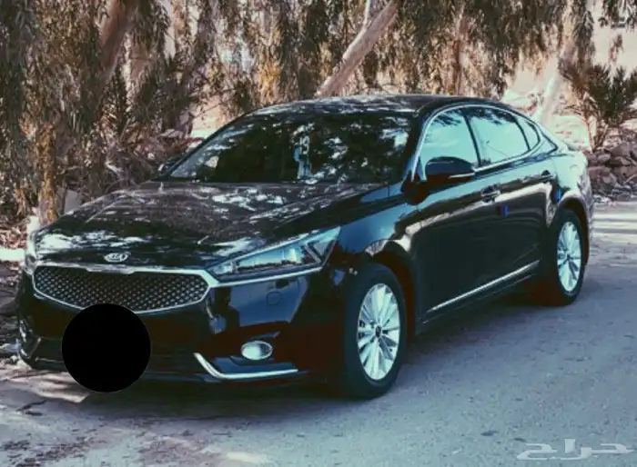 كادينزا 2019 للبيع 1