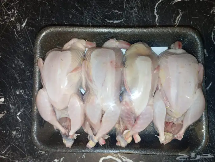 سمان سوبر جامبو 1