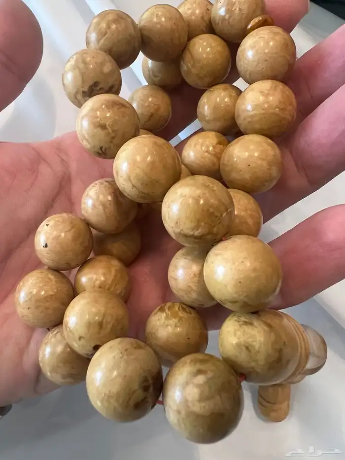 مسباح كهرب بلطيقي 6