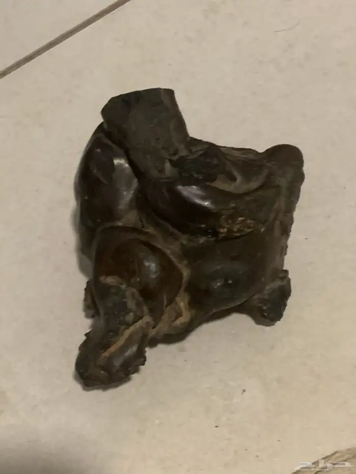 نيزك للبيع 2