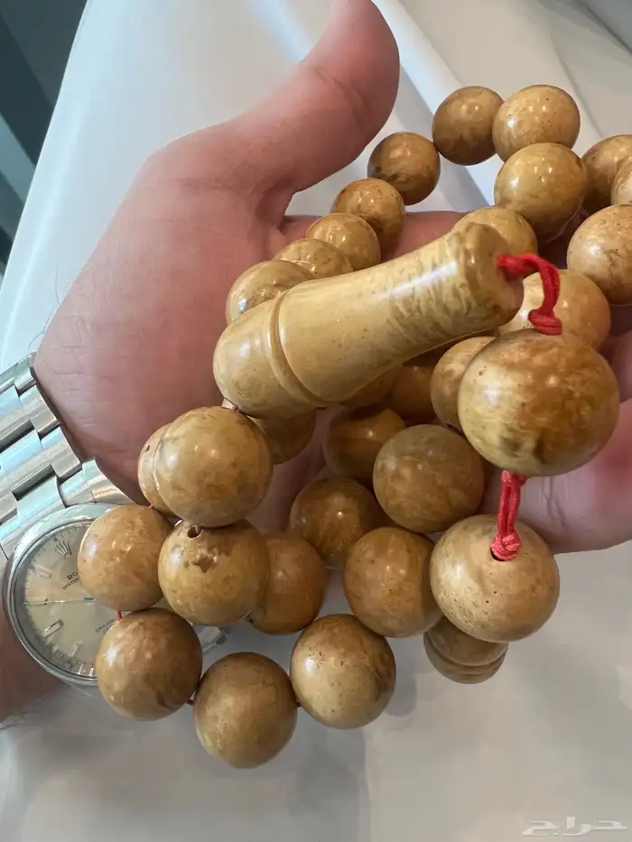 مسباح كهرب بلطيقي 10
