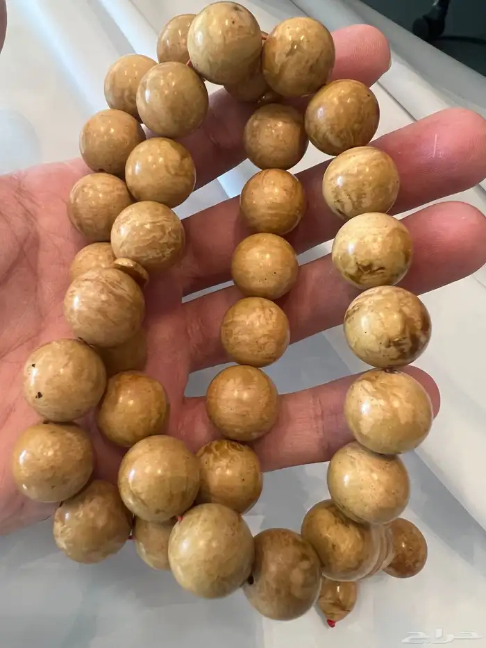 مسباح كهرب بلطيقي 8