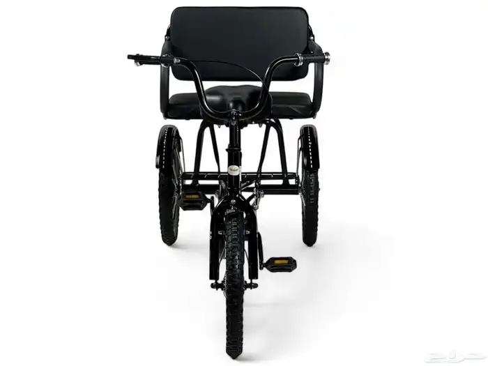 دراجة مع مرتبة خلفية مقاس 16 - سيكل ريجشة بمقعد خلفي مميز 3