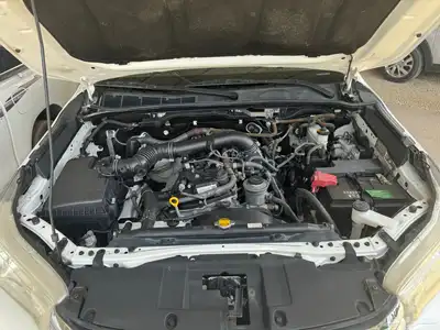 تم البيع 14