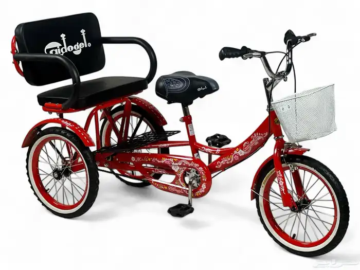 دراجة مع مرتبة خلفية مقاس 16 - سيكل ريجشة بمقعد خلفي مميز 7