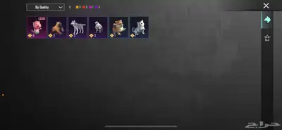 حساب ببجي فخم 31