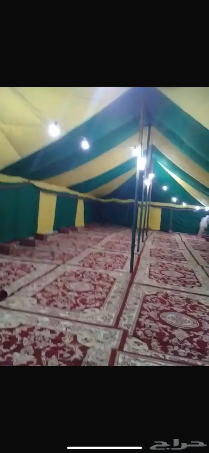 صيوانات القاضي للبيع 0