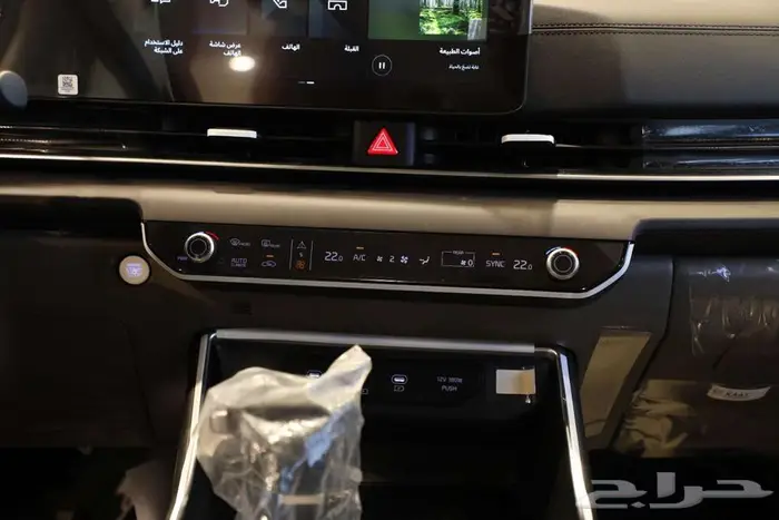 كيا كارنيفال LX 2025 كاش   ايجار منتهى بالتمليك 10