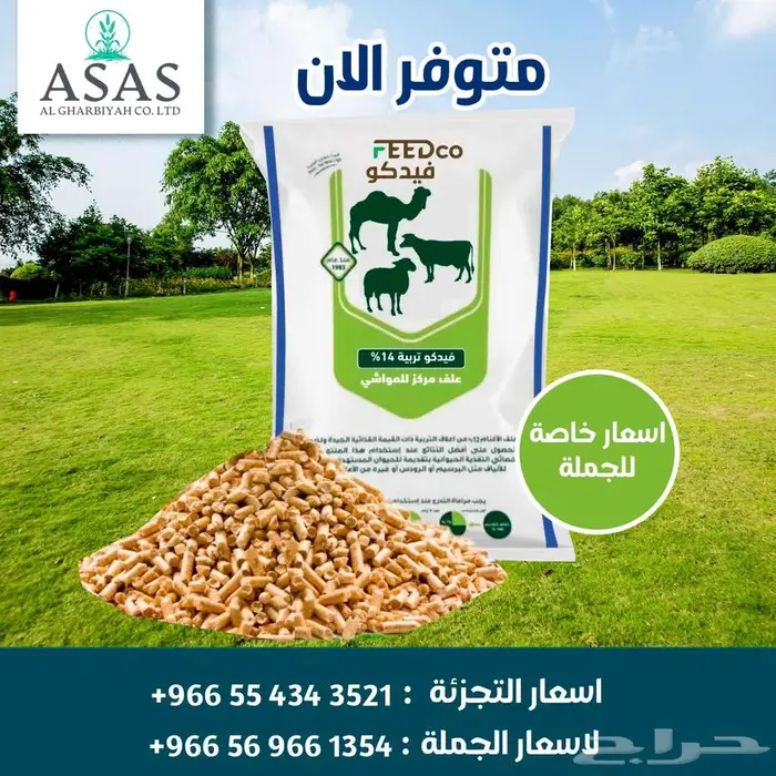 فيدكو تربية 14 0