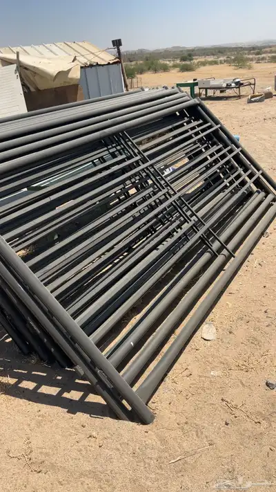 درف شبوك ابل بادوك خيل 3
