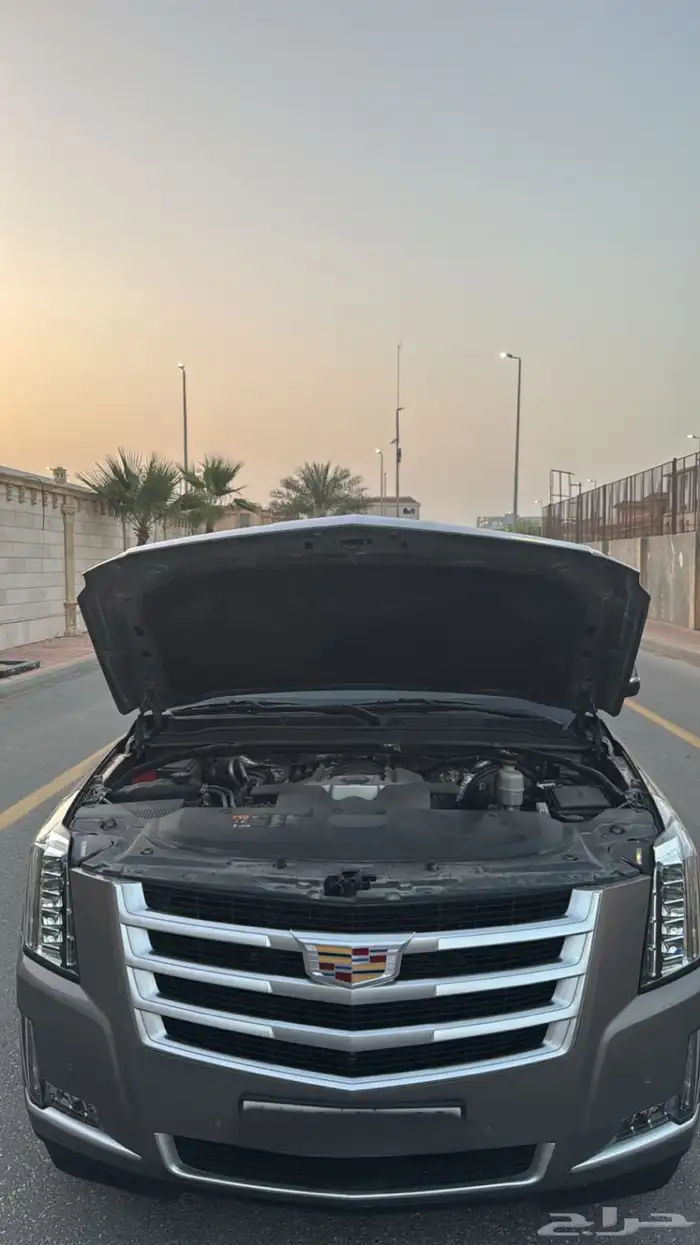 كدلك اسكاليد 0