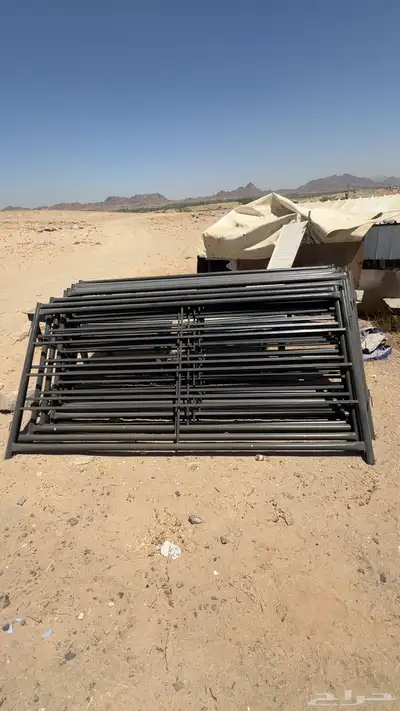 درف شبوك ابل بادوك خيل 1
