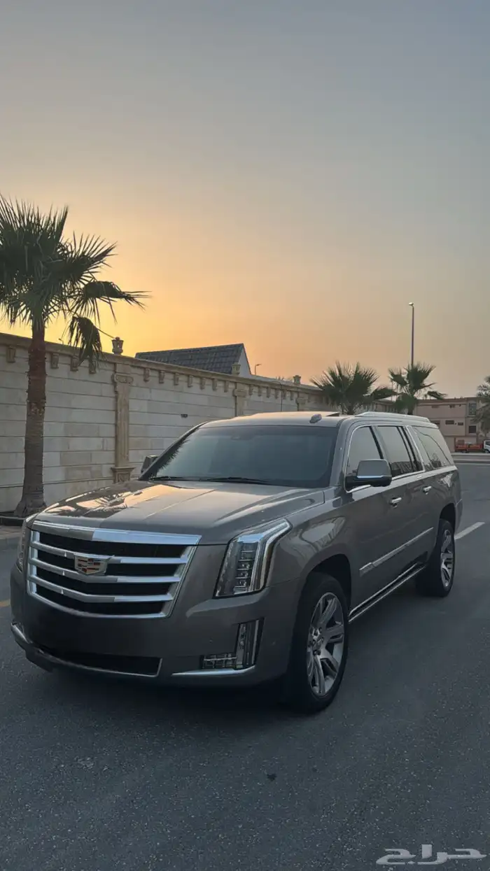 كدلك اسكاليد 6