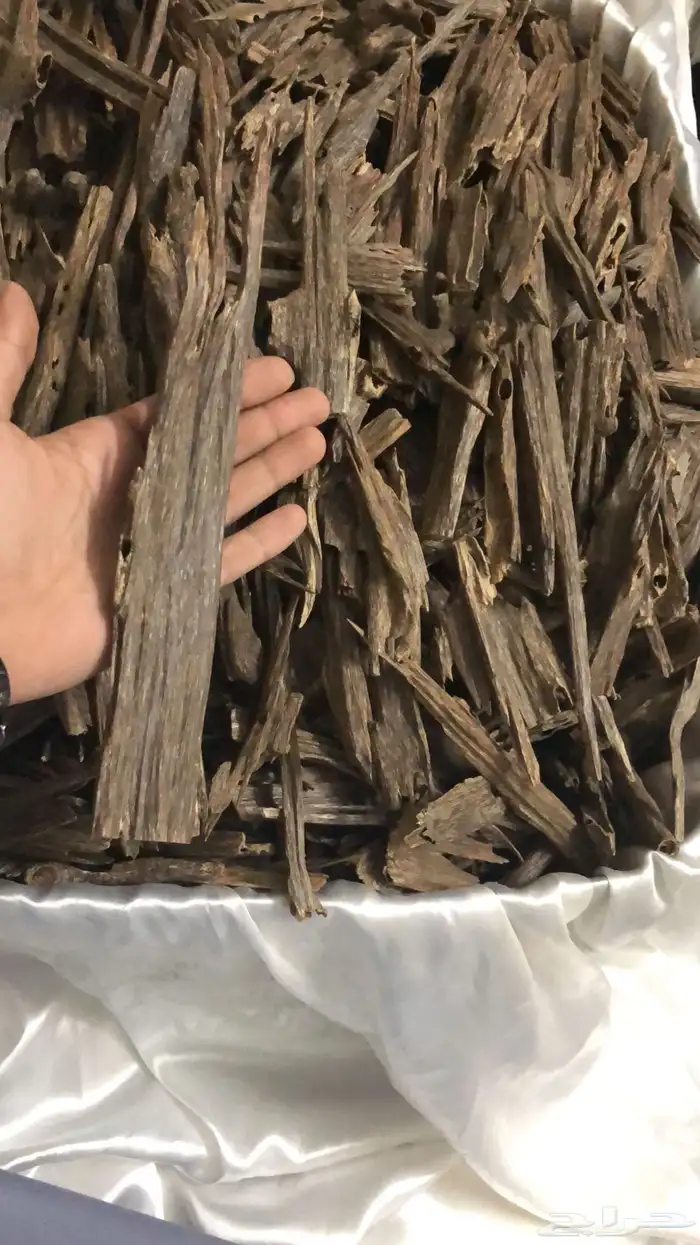 عود طبيعي معمول ملكي من عود طبيعي استخدم شخصي 1