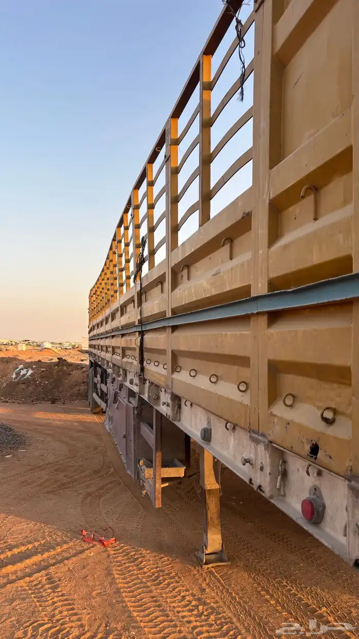 تيدر جوانب القاعدة 14 2