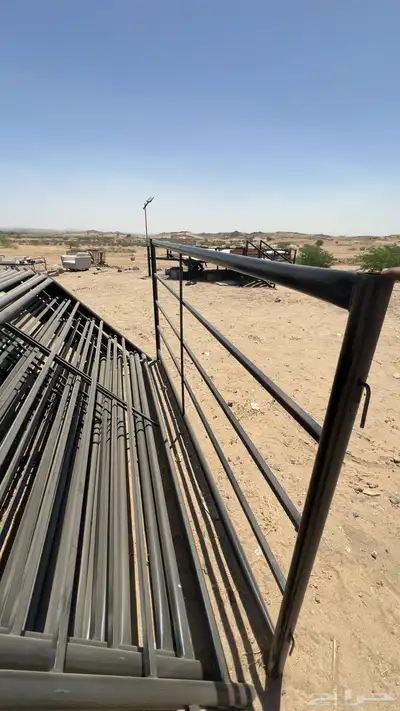 درف شبوك ابل بادوك خيل 2
