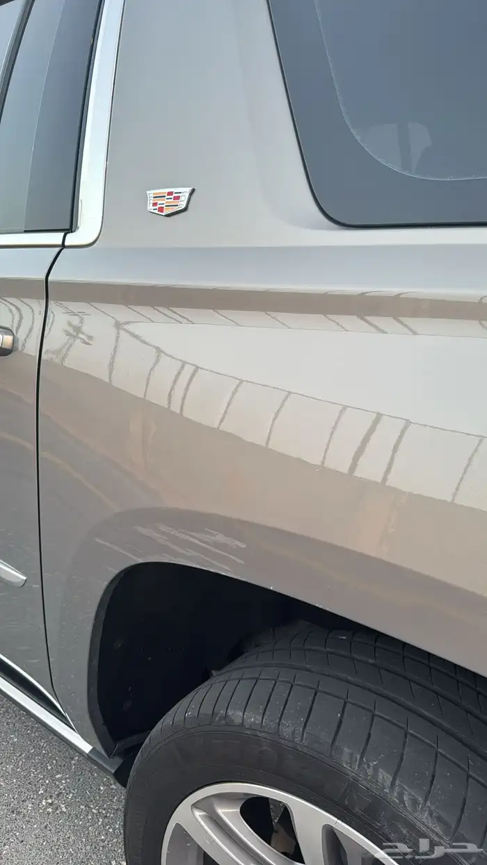 كدلك اسكاليد 19