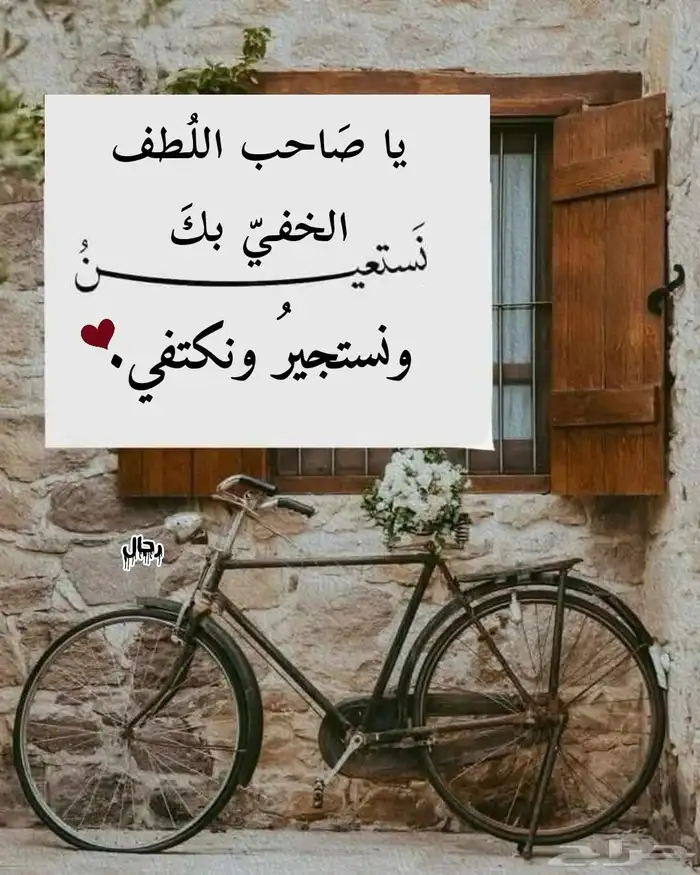نطاطة للاطفال 2
