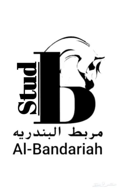 مربط البندريه عسف إيواء تدريب ركوب الخيل 0