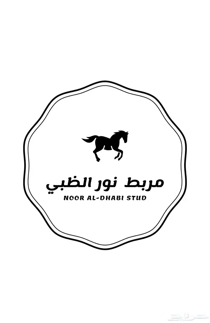 مربط و اسطبل نور الظبي عرض الايوا 550 بستمرار 2
