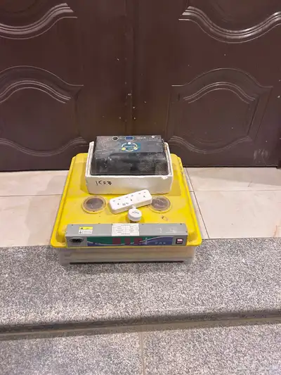 فقاستين 1