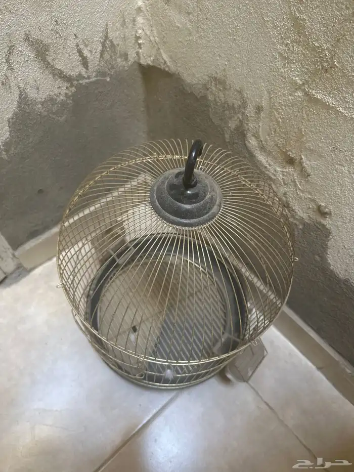 قفص ذهبي شكل رهيب 1