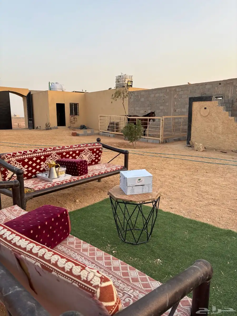 ايواء خيل شرق الرياض بسعر رمزي 1