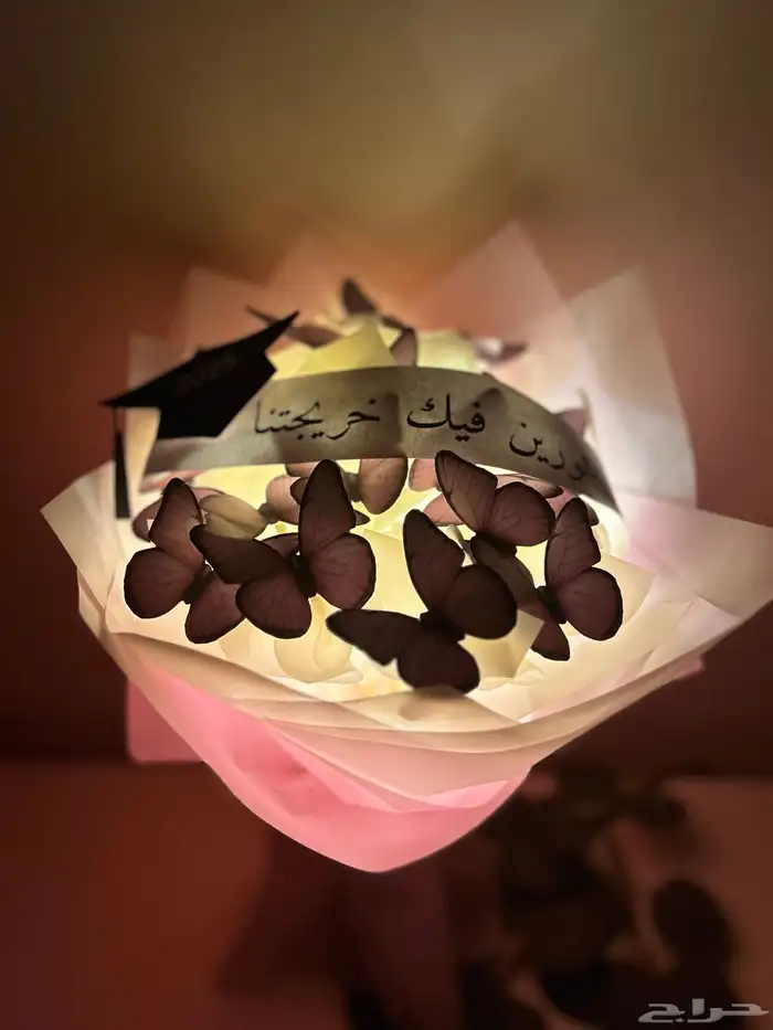 باقة الفراشات المضيئة 4