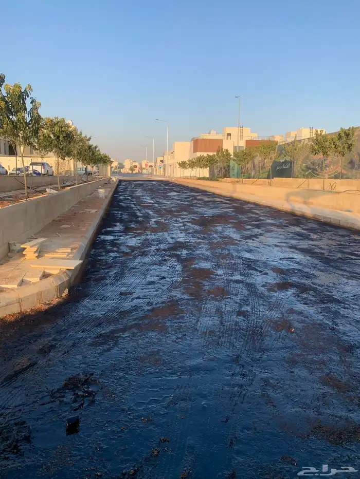 وايت ام سي ون   فراده 8