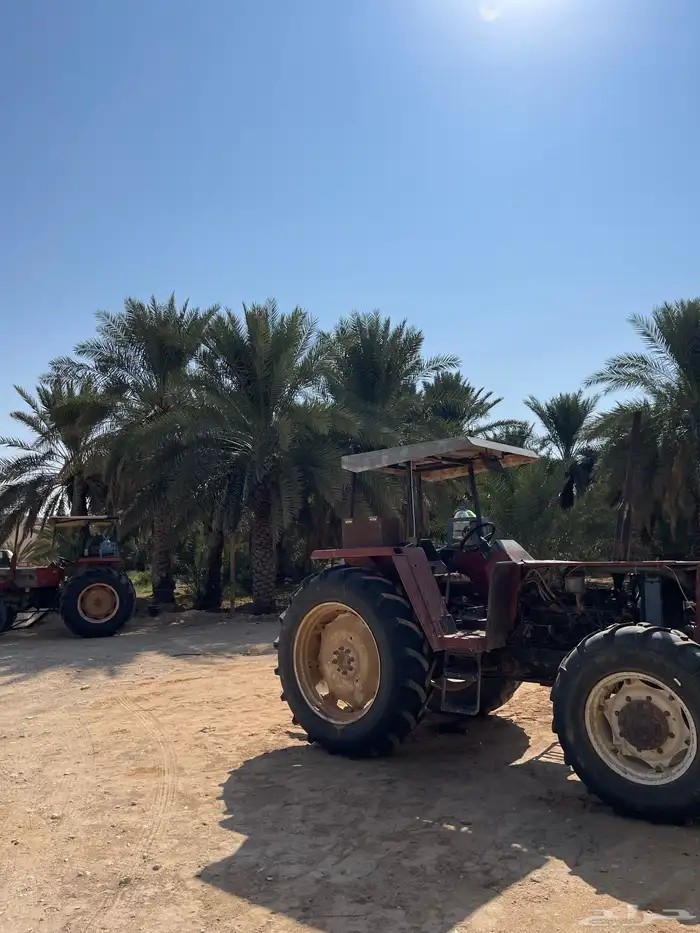 حوطة بني تميم الحريق الافلاج حراثة للايجار 0