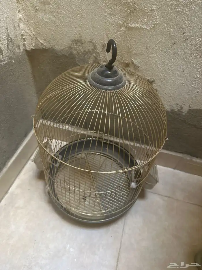 قفص ذهبي شكل رهيب 0