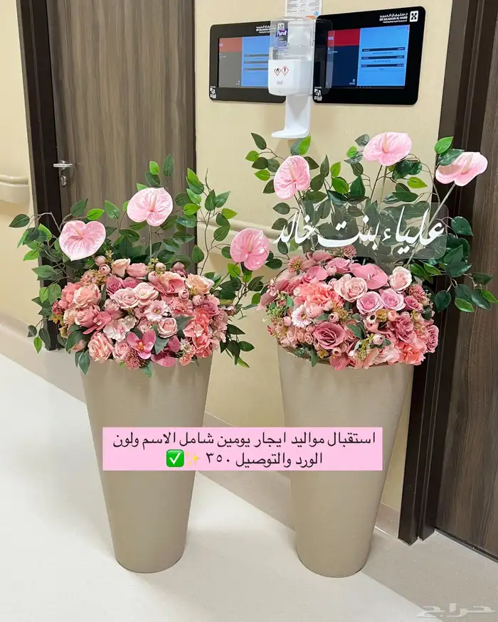 ستاند مواليد 0