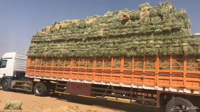 تيدر جوانب المطلق 0