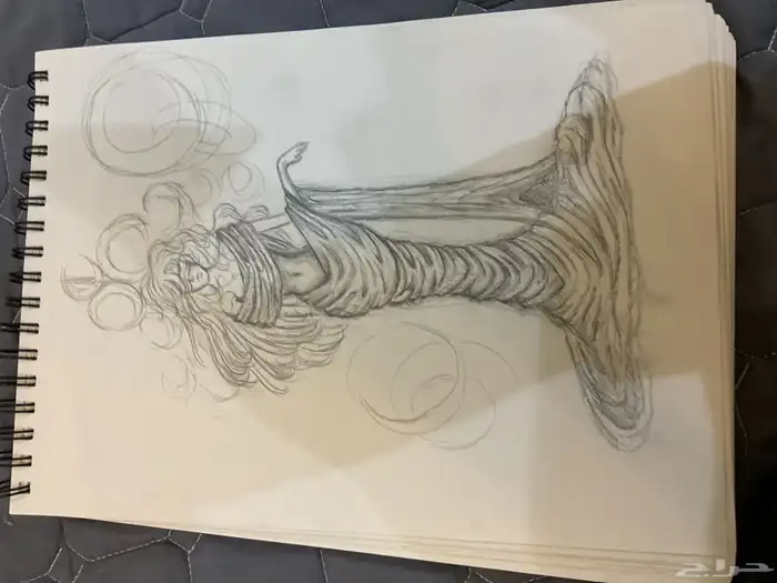 رسمه للبيع 1